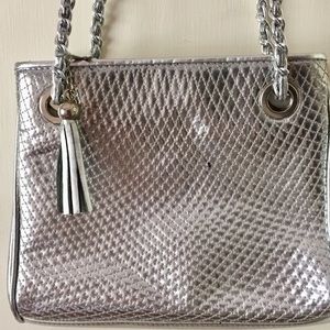 Elegant Silver Purse